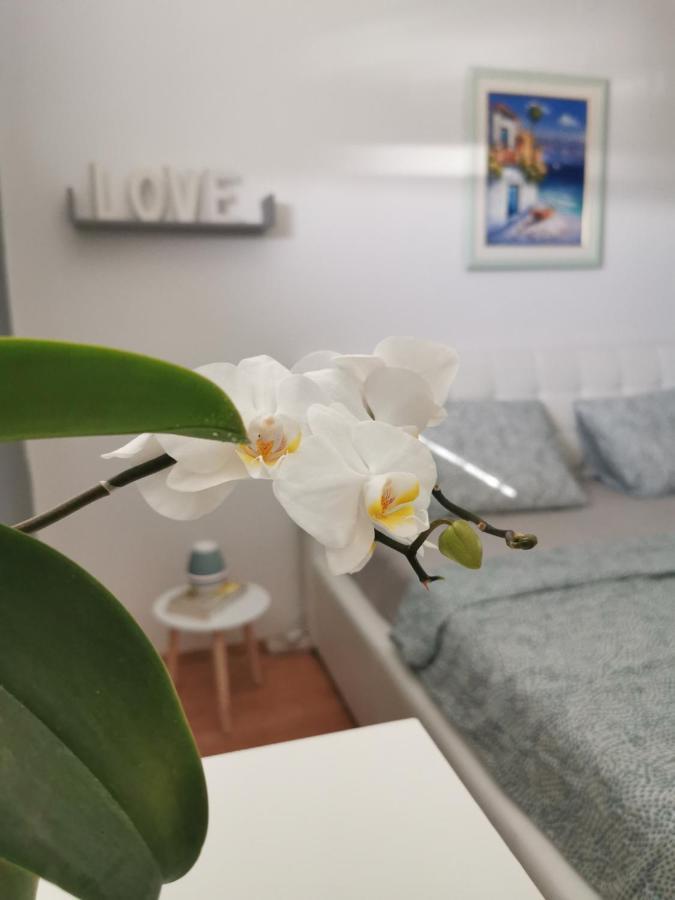 Kenzo Apartment Senj  Bagian luar foto