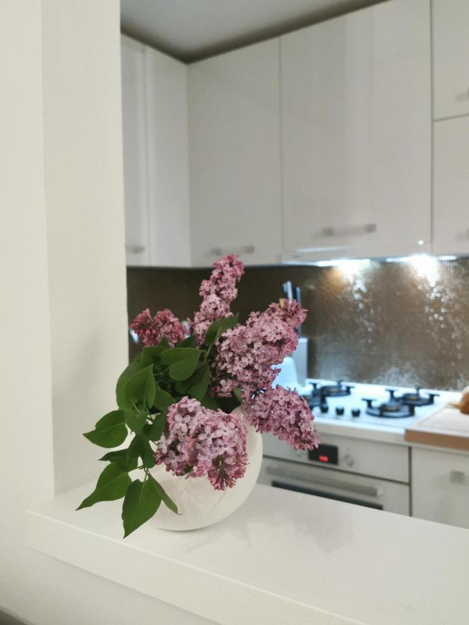 Kenzo Apartment Senj  Bagian luar foto